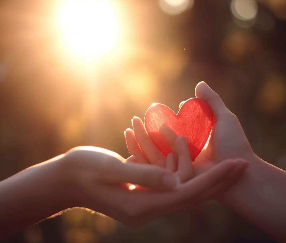 hands holding a heart
